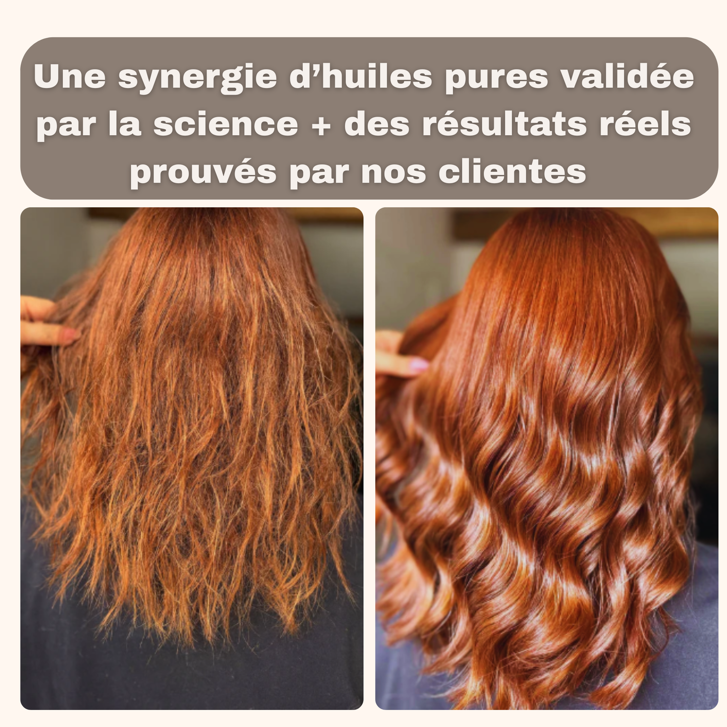 Huile Romarin Force+